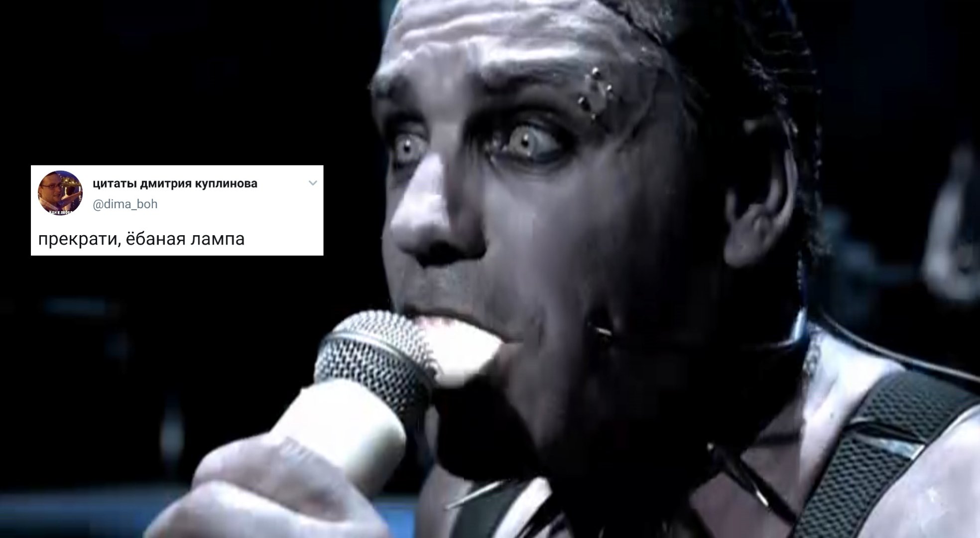 rammstein tatu покажи мне любовь