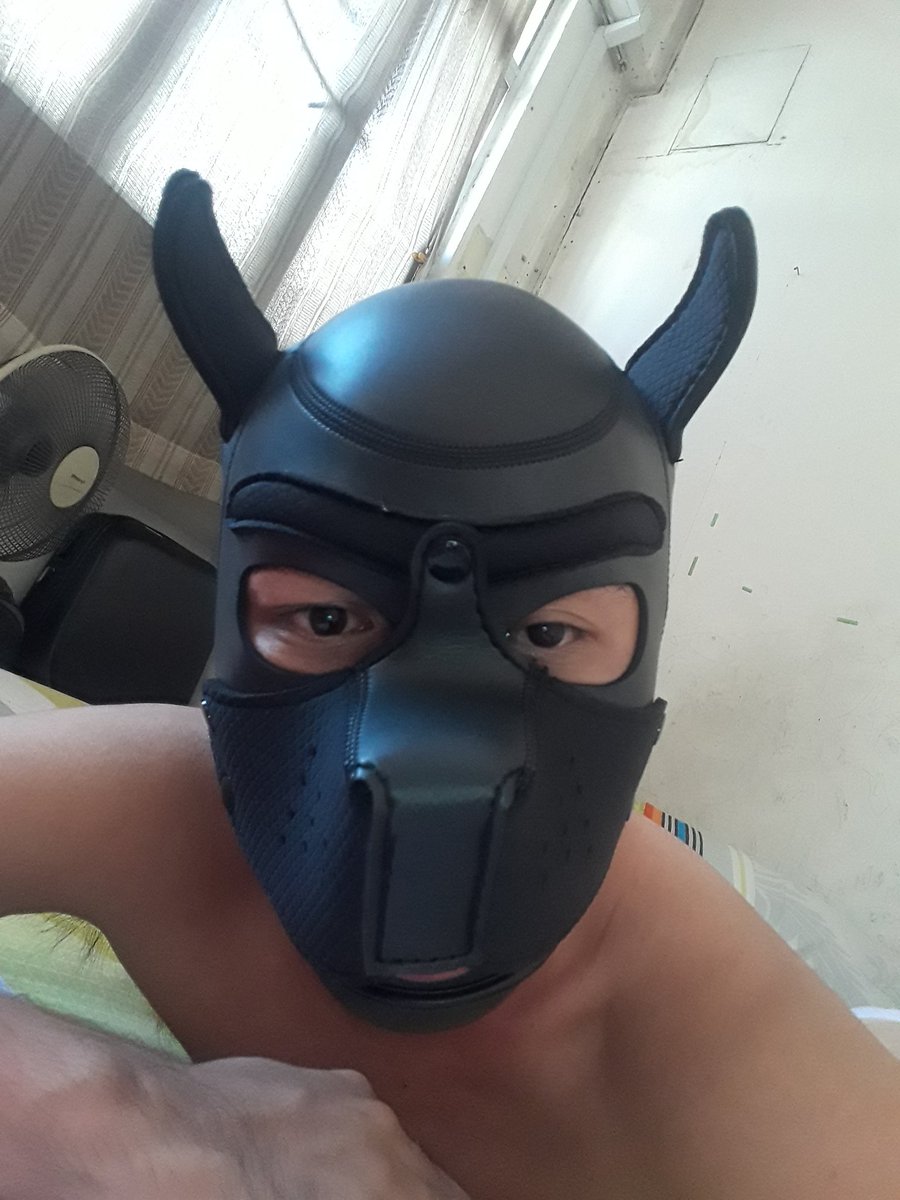 EPui85's tweet photo. #hellopupKch
#wantplay https://t.co/Gt5tiIGdMs