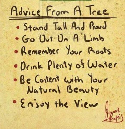 BOKprint's tweet photo. Another social working week. But in reality, time has no master and neither do our spirits. No matter where life takes you. Stay centred. Remain grounded. #namaste #goodmorning #mondaymotivation #yoga #wisdom #wellness #blessed #analogy #metaphor #bokprint https://t.co/A89ADTGVcl