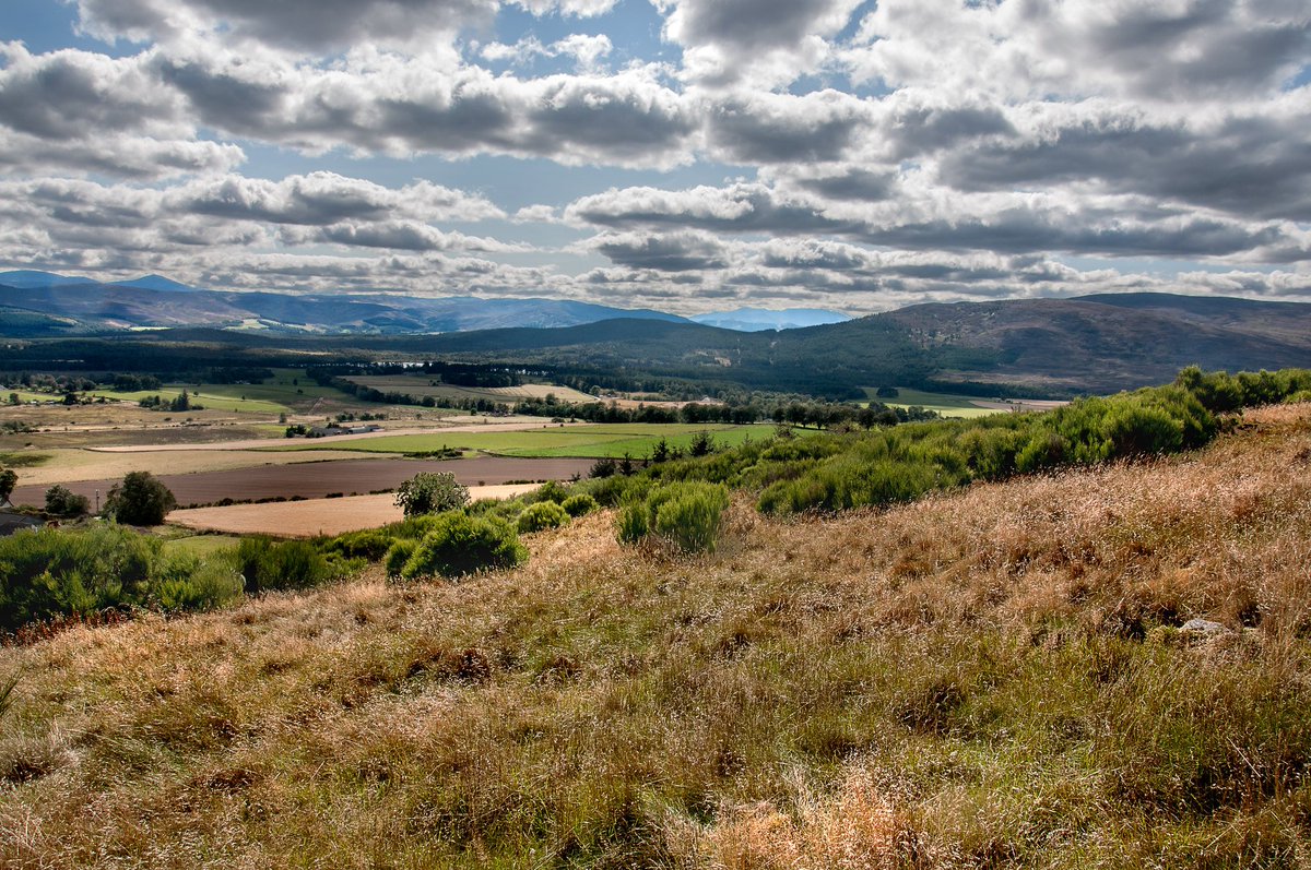 Royal Deeside. A view from Knockargerty Hill, near Tarland. #RoyalDeeside #Scotland @EarthPix @ThePhotoHour @PicBallot @StormHour @PhotographyWx @EarthandClouds #travelphotography