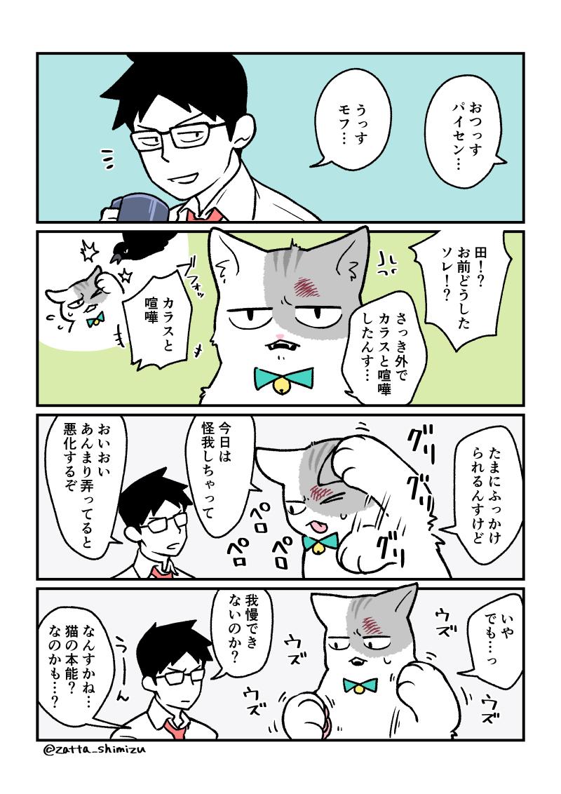 漫画 ブラック企業の社員が猫になって人生が変わった話 新章の19 まとめ