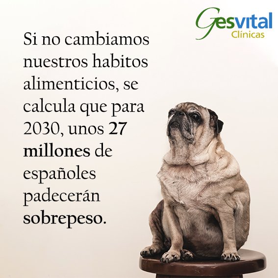 Gesvital's tweet photo. ¡Es hora de cambiar nuestros hábitos alimenticios!
.
👩‍⚕️Consúltanos sin compromiso
.
🖱  https://t.co/zWyP4w66z3
.
🏥 Calle Orense, 10 // Calle Alcalá, 361 Madrid
.
☎️ 915 55 22 22/665 65 72 64
#Alimentacion #ComerSano #Sobrepeso https://t.co/B6ajclTr2t