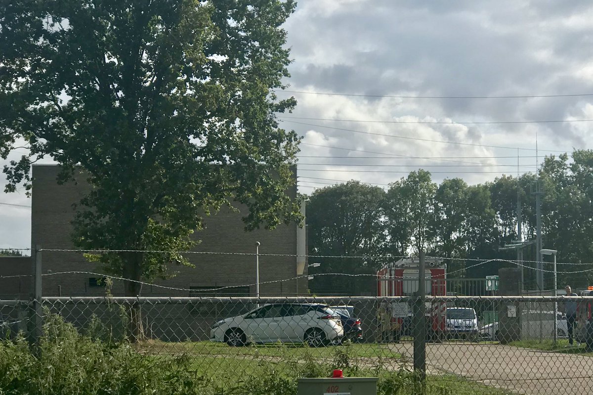 Bram Verhees tweet media