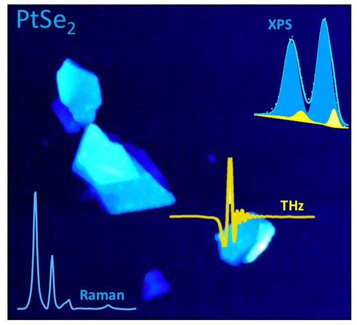 SzydlowskaBM's tweet photo. Noble-metal based 2Dmaterials of Group X and Spectroscopy.
working on my one image current research summary!
#TMDCs #THz #AFM #phdchat #2D #AcademicChatter @UniHeidelberg @dfg_public #2dmaterials #spectroscopy #noble #exciting #hot #Raman #XPS #womeningraphene #womeninscience https://t.co/194siOpIf8