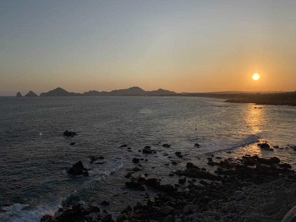 Lilia Alvaro 🇲🇽 tweet media