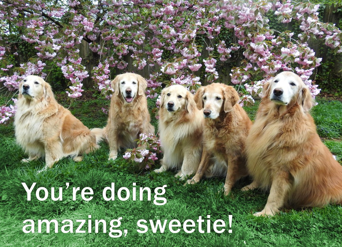 TheGoldenRatio4's tweet image. 