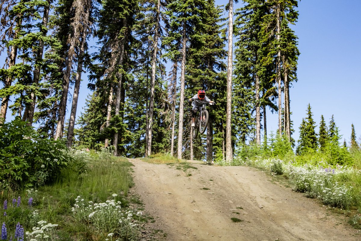 SilverStar Bike Park tweet media