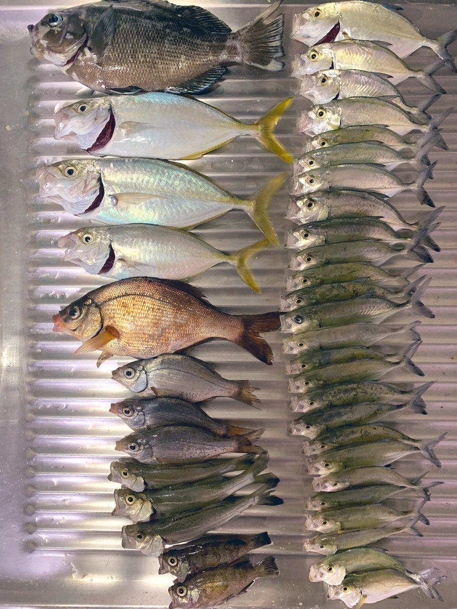 防波堤釣り 防波堤釣り