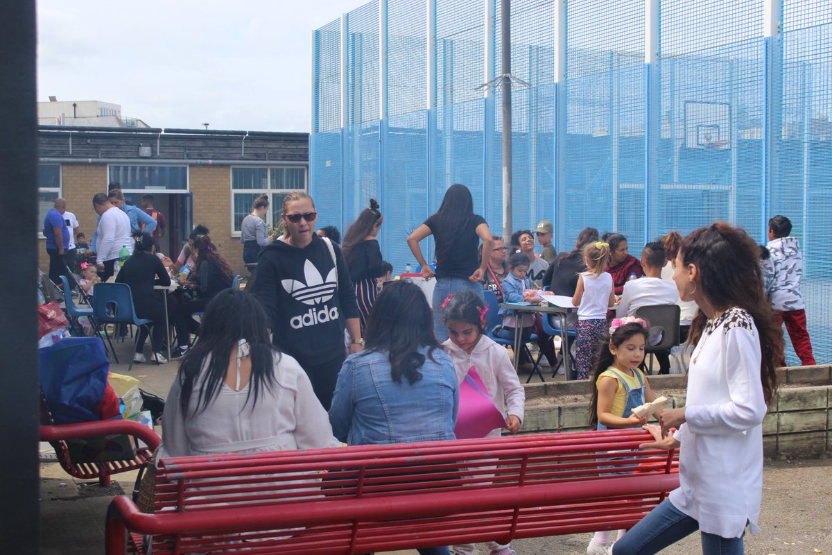 Red Zebra Roma Projects tweet media