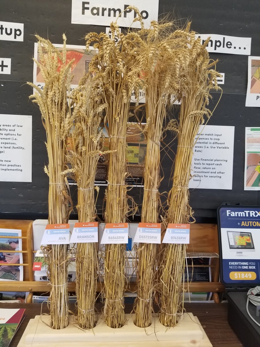 Planting #wheat this fall? <a href="/BrevantSeedsCA/">Brevant seeds Canada</a> varieties are available to order, with an early order discount for orders placed by August 31st! Give the branch a call to order yours or drop in to check them out! #ontag