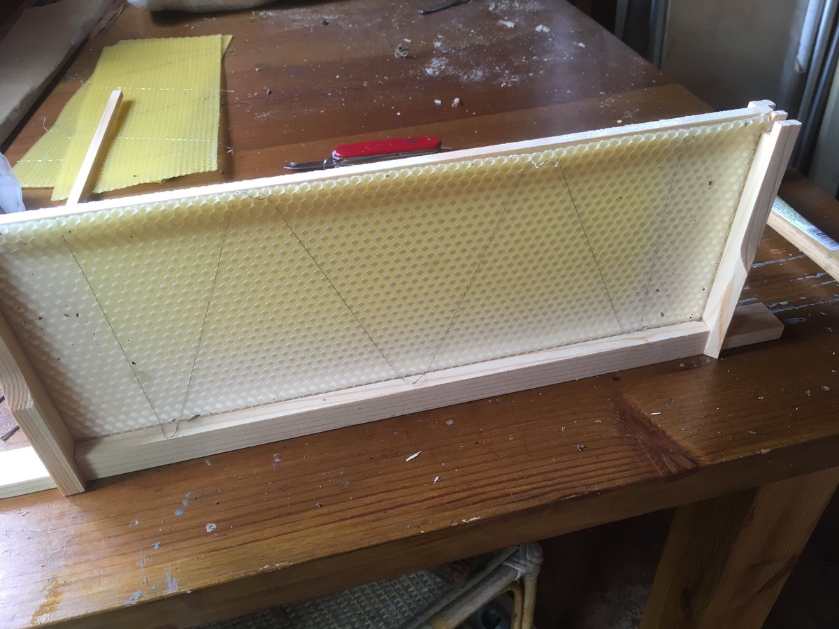 GeekChickUK's tweet image. Instead of being in the office I was doing 🐝 house maintence for a friend #GeekFun