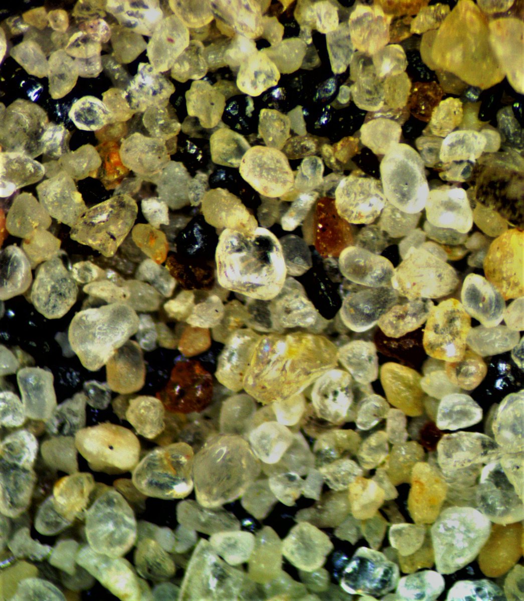 MDEQ's tweet image. Heavy minerals in alluvial sand of Coles Creek in Jefferson, County Mississippi.
#microscopemonday
#geology
#geologicmapping
#Mississippi
#sedimentology