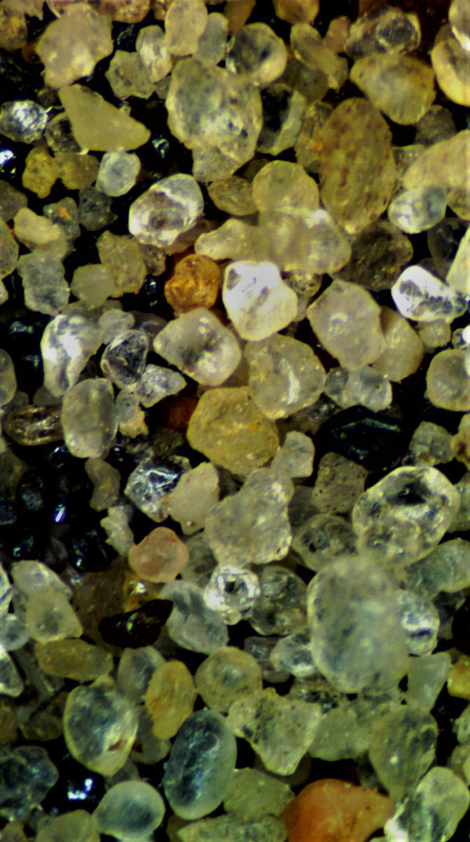 MDEQ's tweet image. Heavy minerals in alluvial sand of Coles Creek in Jefferson, County Mississippi.
#microscopemonday
#geology
#geologicmapping
#Mississippi
#sedimentology