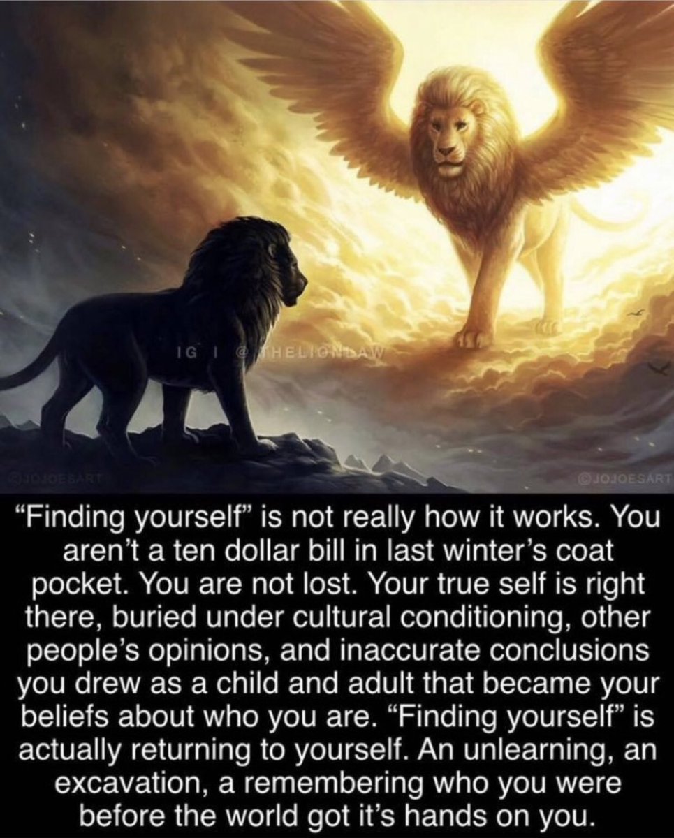 CoachLisy's tweet photo. My brother sent this to me this morning and it gave me goosebumps. Retweet if you agree! ππ»
#FindingYourself #YourTrueSelf #YourHigherSelf #spiritualawakening #mondaythoughts #MondayMorning https://t.co/5eUQBsBGOR
