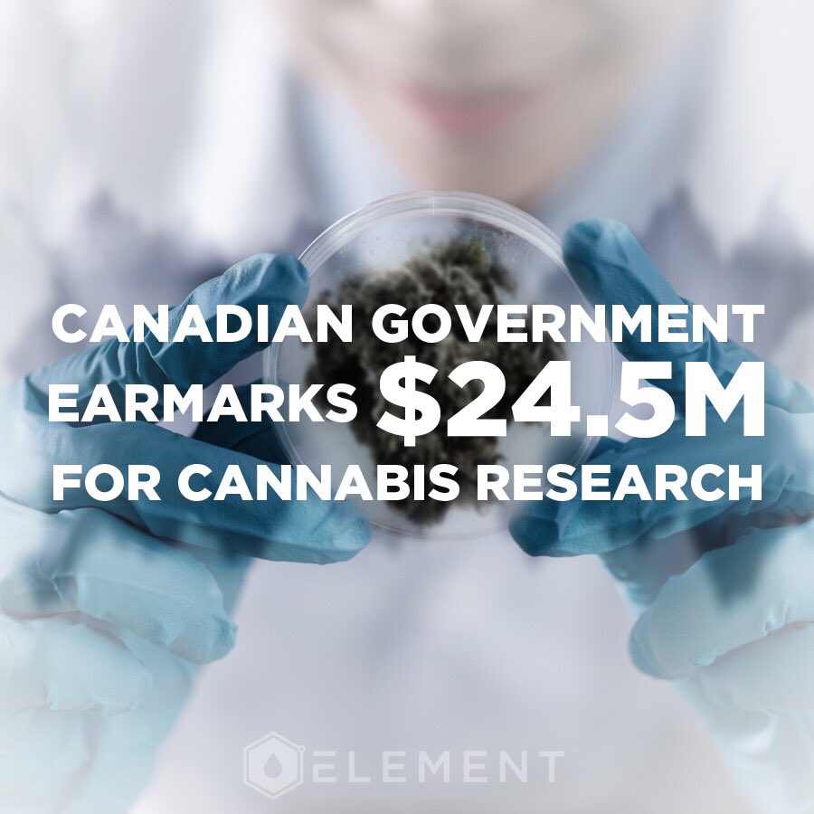 These funds will help the study of cannabis being used for migraines, pain, anxiety, and neurological disorders.
leafly.ca/news/politics/…
#cannabisresearch #medicalmarijuana #plantsheal