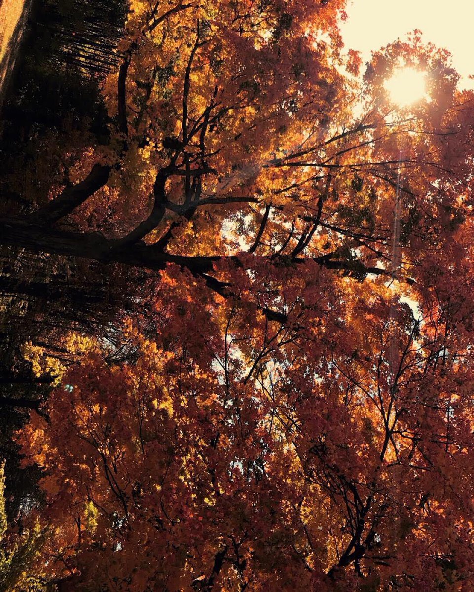 Mars 🧑🏾‍🚀☄️ tweet media