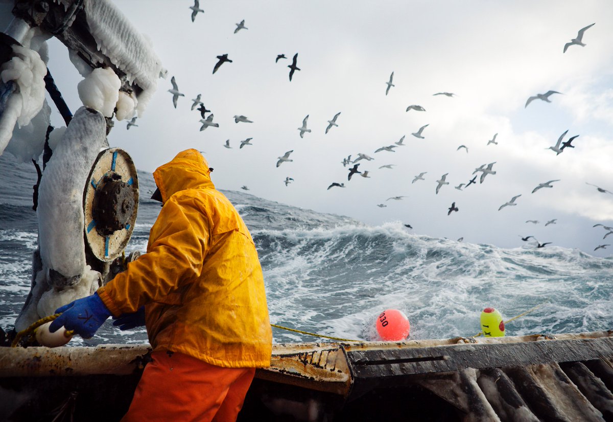 Happy #WorldPhotographyDay2019! Grab your last chance this week to see the first solo exhibition by US photographer, fisherman &amp; activist <a href="/coreyfishes/">Corey Arnold</a>. On view  #Thresholdartspace @HorsecrossPerth. Free entry. Guided tours by appointment. All details:   horsecross.co.uk/whats-on/fish-…