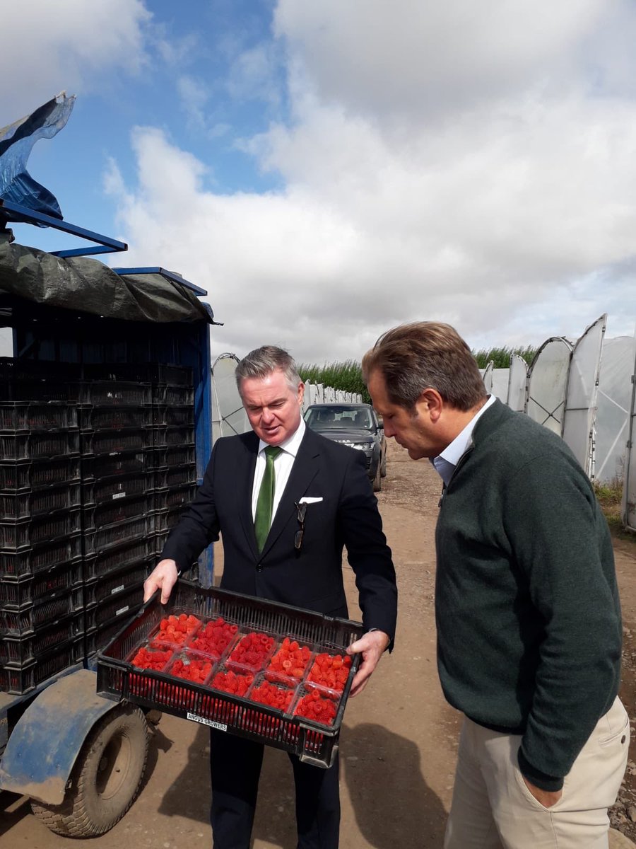 Discussing the historic opportunities for the agriculture, food and farming sectors as we leave the EU, <a href="/Colin_J_Clark/">Colin Clark</a> visited <a href="/JamesHuttonInst/">James Hutton Institute</a> and <a href="/AngusSoftFruits/">Angus Soft Fruits</a> today #farming #agriculture #scotland <a href="/UKGovScotland/">UK Government Scotland</a>