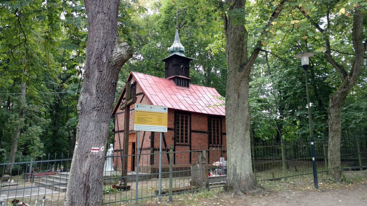 alzara_'s tweet photo. #Toruń #Barbarka Dzisiaj zbierałam grzyby w lesie na Barbarce koło Torunia, a Holendrzy przyjechali wspinać się w parku linowym. Świat się skurczył, do niedawna jeździli tam tylko Torunianie😊 https://t.co/tAhrjRNX6T