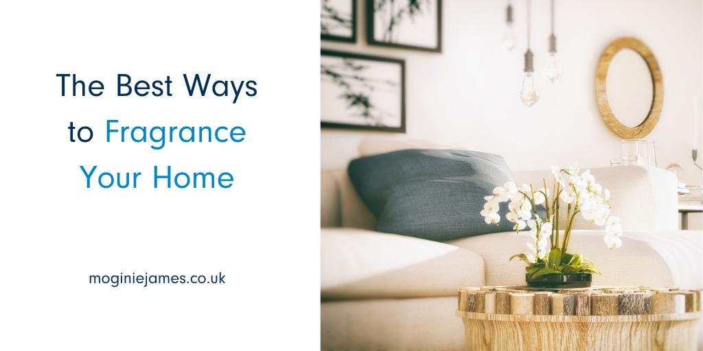 MoginieJamesUK's tweet photo. Ever noticed how some people's homes always smell great? 🍋🌿 Discover their tricks with @idealhome - https://t.co/QU6yBpgces

#smellsofhome #homesweethome #homestyle #hometricks https://t.co/XKVJhzImw9