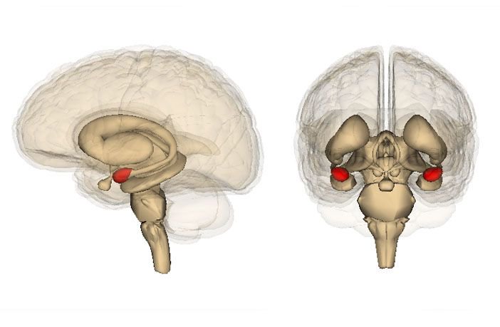 Meditation and yoga practice linked to reduced volume in brain region tied to negative emotions buff.ly/2KVBb5M via <a href="/PsyPost/">PsyPost.org</a> #WithMummaInMind #meditation 💗