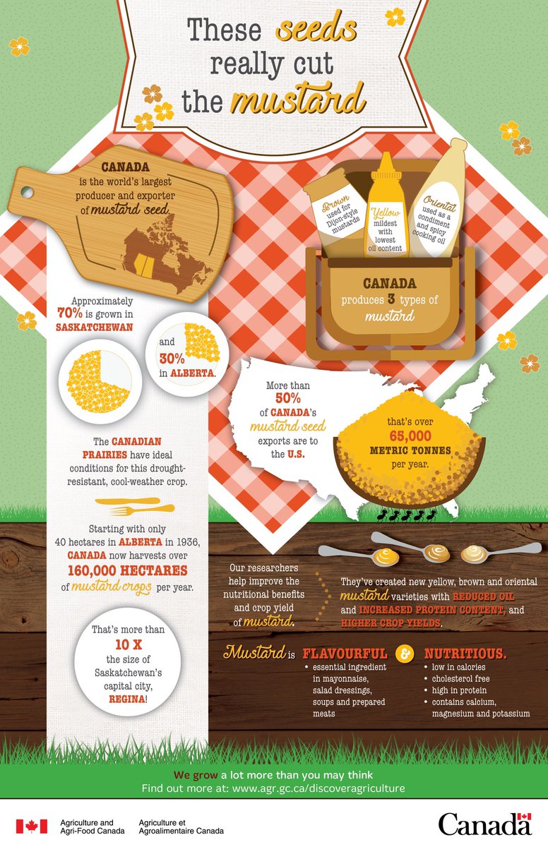 ChicksnChapsAB's tweet photo. It’s unofficially officially Alberta Mustard Day at the Farm.  What are you going to add mustard to today?  #abag #mustard. https://t.co/ZkPXvTmkwS