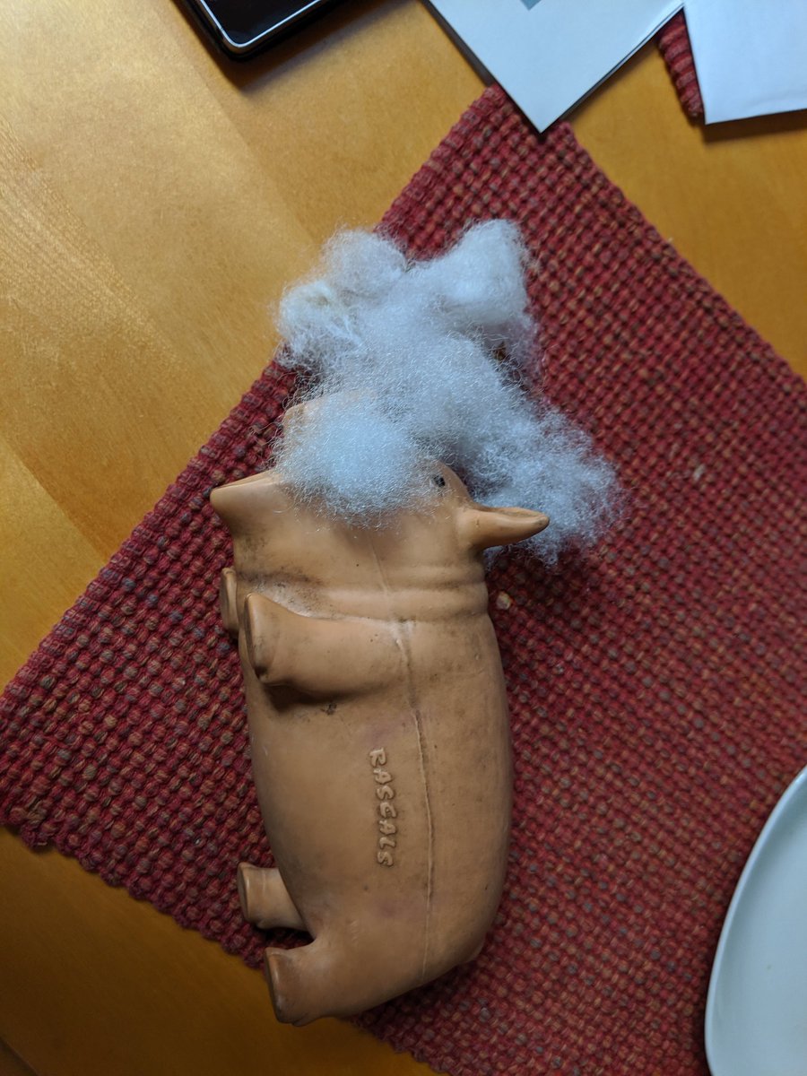 MrBilboWaggins's tweet photo. I have really, really #badnews. It is a very #sadday, but I must announce that I think my pig might be dead. I tried CPR, but all I heard was the faintest squawk. #momhelp #dadhelp #rip #ihopewecanfixhim https://t.co/vWsJgiq2SY
