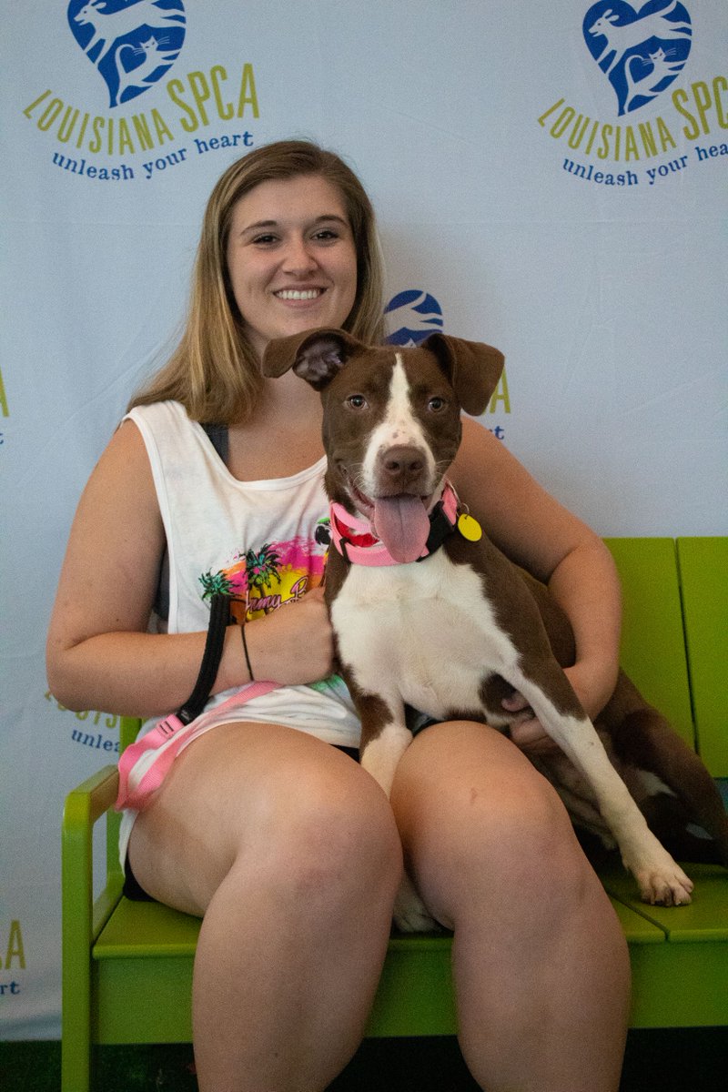 LASPCA's tweet photo. Woofs & Meows to the 146 animals that adopted a human last week! #adoptdontshop #laspca https://t.co/SFqKOsPHzp