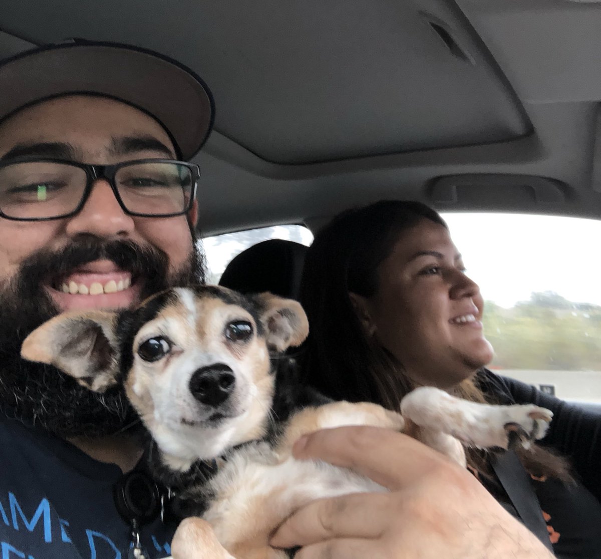 It’s easier to start the week when these two beauties give me a ride to work.