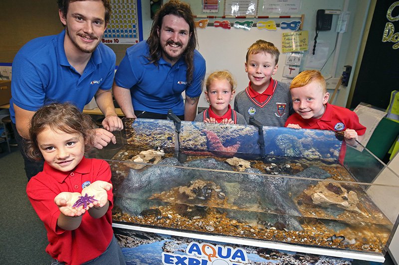 AqualeaseUK's tweet photo. We're giving away a FREE Aqua Explorer British Shore Rock Pool Experience to a school in the North West of England. Simply like, retweet &amp; comment on this post (state the school and the year group you are nominating) to be in with a chance to win.Winner announced on Mon 16th Sept https://t.co/usiNA6Ubc4