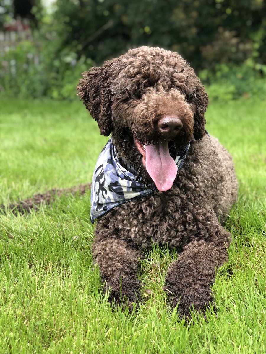 Kat Rosenfield tweet media