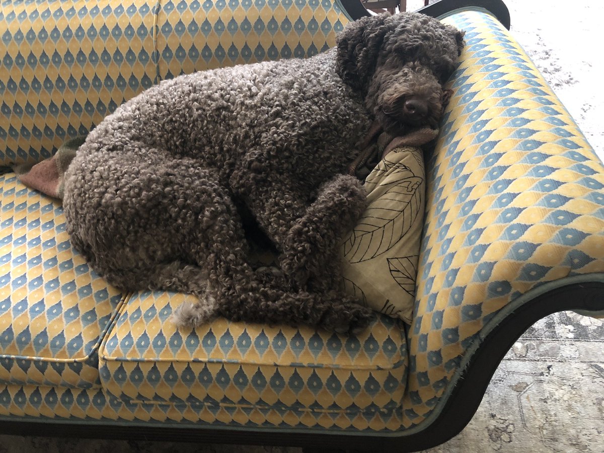 Kat Rosenfield tweet media