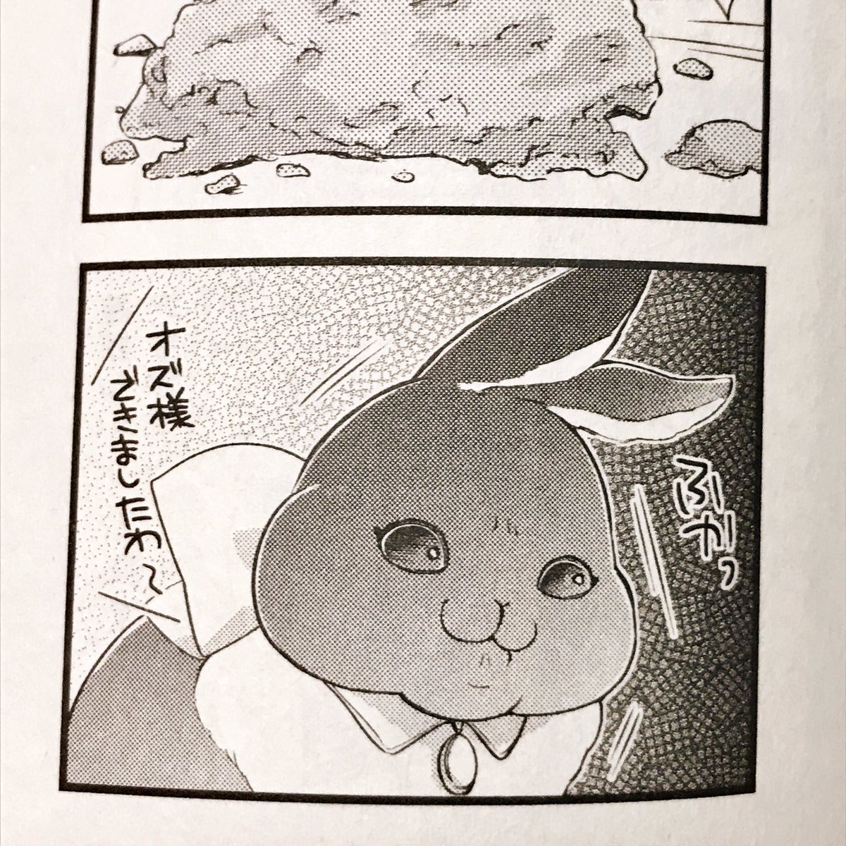 そしてカフカ…!!!(漢字が出ない!)
この表記、めちゃくちゃ可愛い…すごく可愛い…にやけてしまいます( *'艸`) 