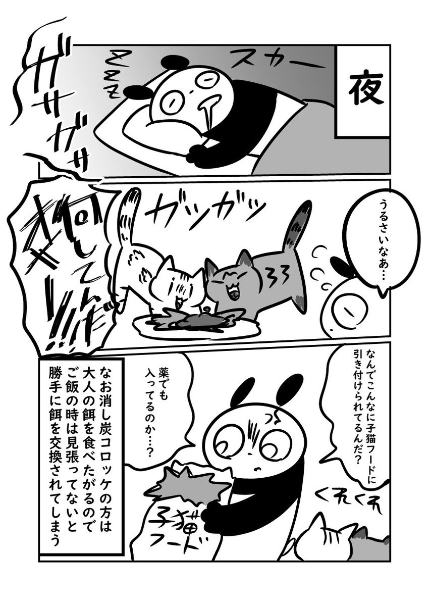 子猫が来た話　子猫の餌に魅了される大人猫　#ぬら次郎日記 