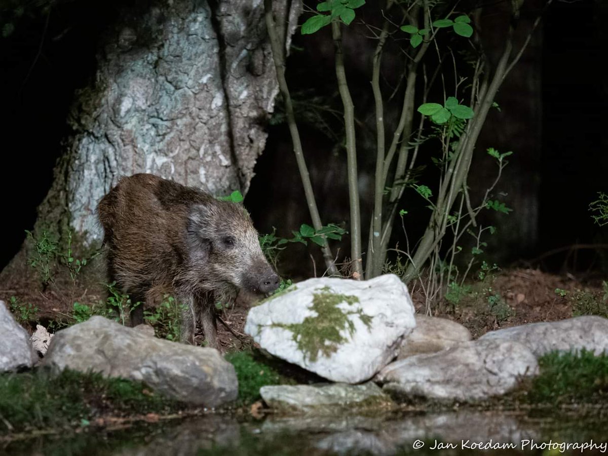 In Vierhouten en daar kan je dichtbij dineren. 😋 <a href="/smaandags/">rieno bos</a>