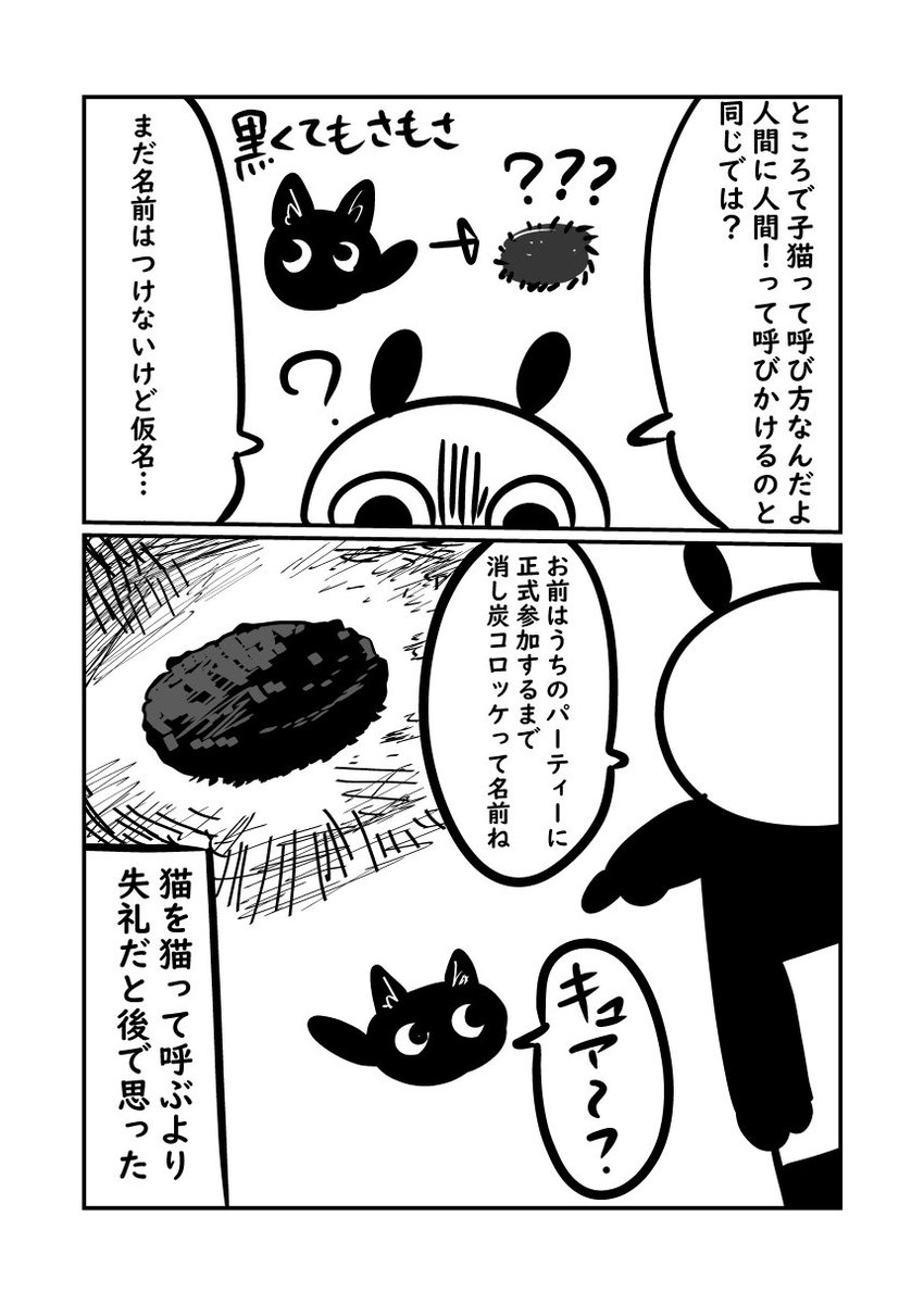 子猫が来た話　子猫の餌に魅了される大人猫　#ぬら次郎日記 