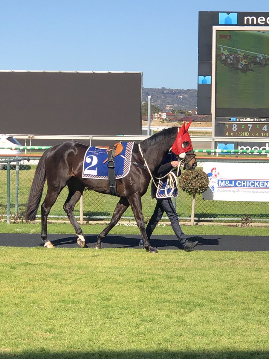 mark minuzzo (@markminuzzo) on Twitter photo 