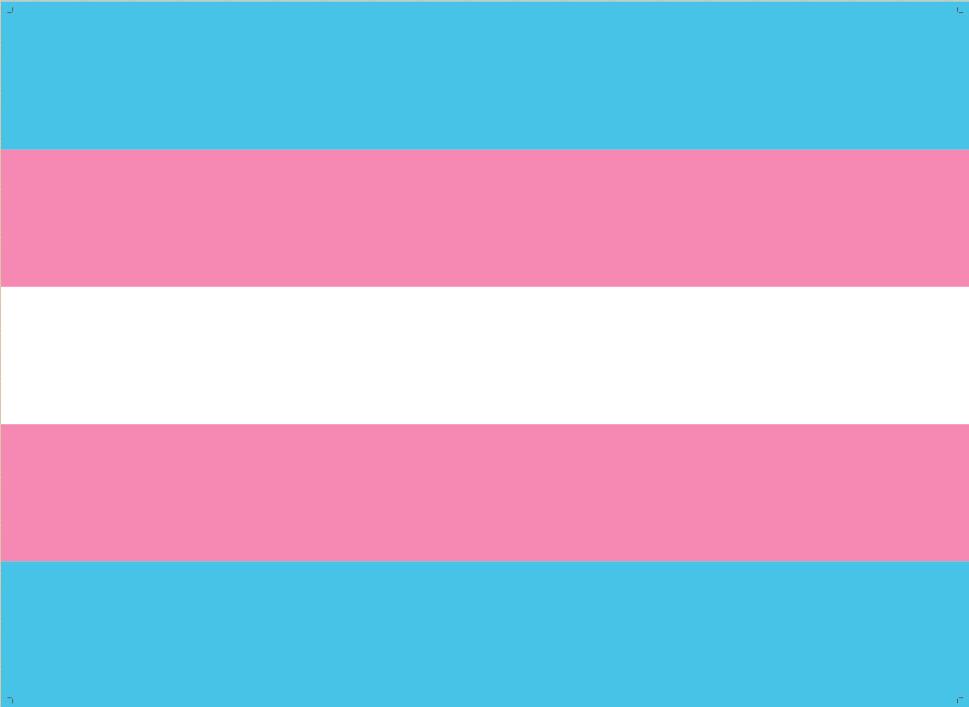 IgualdadLGBT's tweet photo. 19 de agosto de 1999, la activista trans Mónica Helm crea la bandera trans. Hoy la bandera trans cumple 20 años https://t.co/U2joaPCUN2