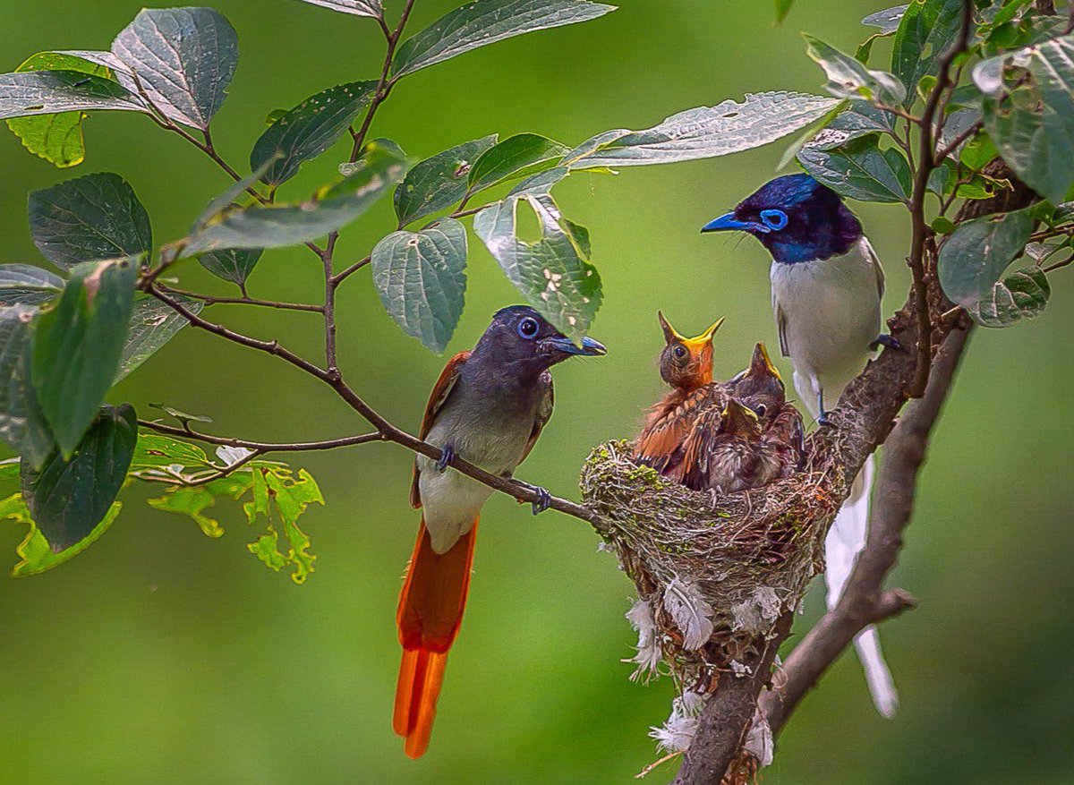ramblingsloa's tweet image. Never get tired  of doing the little things for others.
For those little things often occupy the biggest part of their hearts.