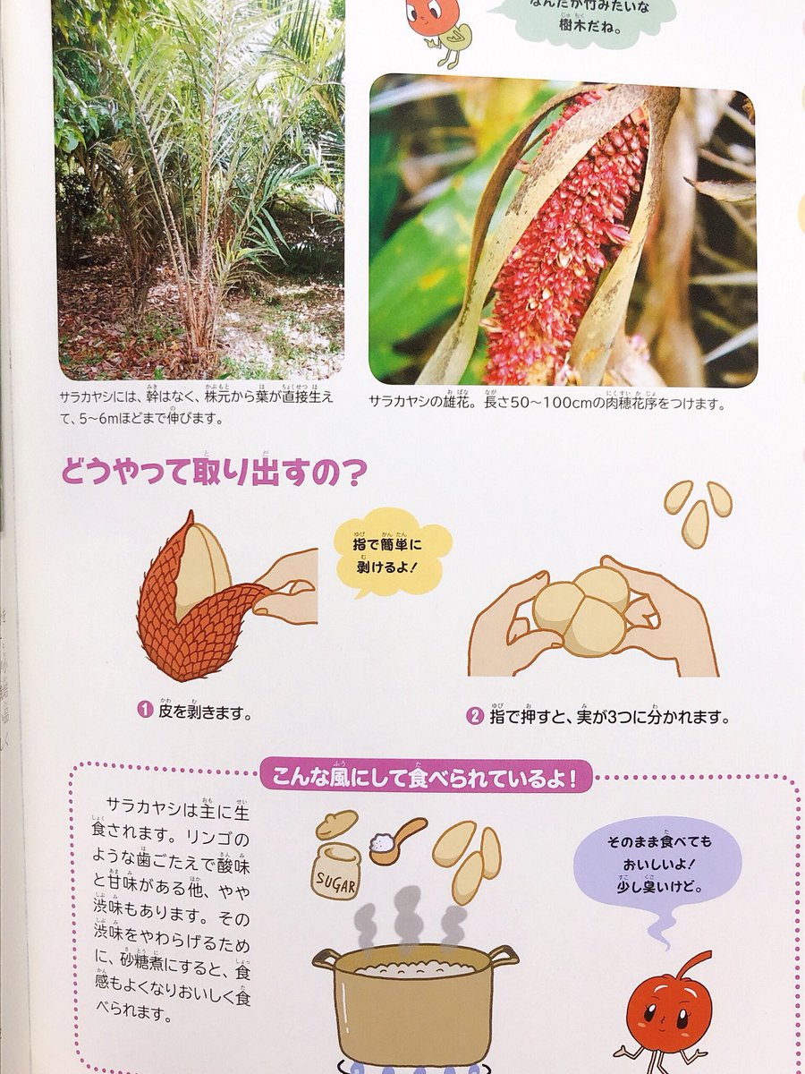 サラカヤシの実なんて知らなかったなぁ

『ずかん フルーツ』米本仁巳 著
おもしろいですおススメです 