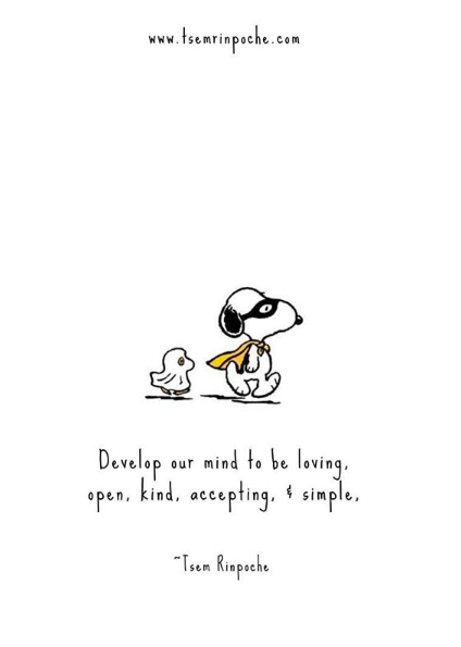vsuhendra's tweet photo. Words of Wisdom from 
@tsemtulku
 
https://t.co/DOYVBqCDEj  

#tsemrinpoche #tsemtulku #kechara #buddha #buddhism #positivevibes #wisdom #wise #wordsofwisdom https://t.co/a9K9EJLmOj