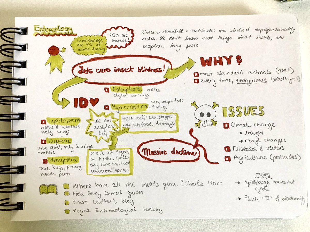 BES_careers's tweet photo. Did you know that around 97% of all animals are invertebrates? Yet a disproportionate amount of scientific research focuses on vertebrates, meaning there is still so much more to learn about this huge group! #sketchnotes by @VPudilova #BESUG19 https://t.co/9CedTpSmjN