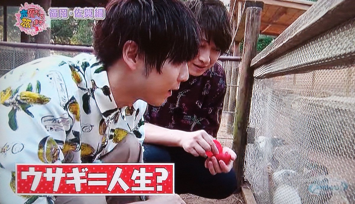 V Dash Ar Twitter ウサギの餌やりを終えた小野さん 心がぴょんぴょんするんじゃ ロケ中 小野さんが作った歌詞を歌で聞いた梶さんの感想 食べにくい いざ遊覧船で楽しいロケ と思ったら台風の影響により欠航 嵐を呼ぶ男小野大輔 やっちゃいました