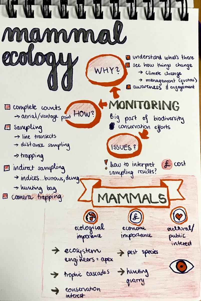 BES_careers's tweet photo. Monitoring species is essential for conservation - it allows us to understand distribution, abundance and observe how these change in response to things such as climate change. #BESUG19 https://t.co/Pw3Bl09gwW