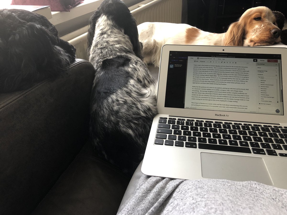 Bookliterat's tweet photo. As soon as I start to write reviews the dogs come to help #bookblogger #helpfuldogs #ilovemydogs https://t.co/PGbDnZf1UG
