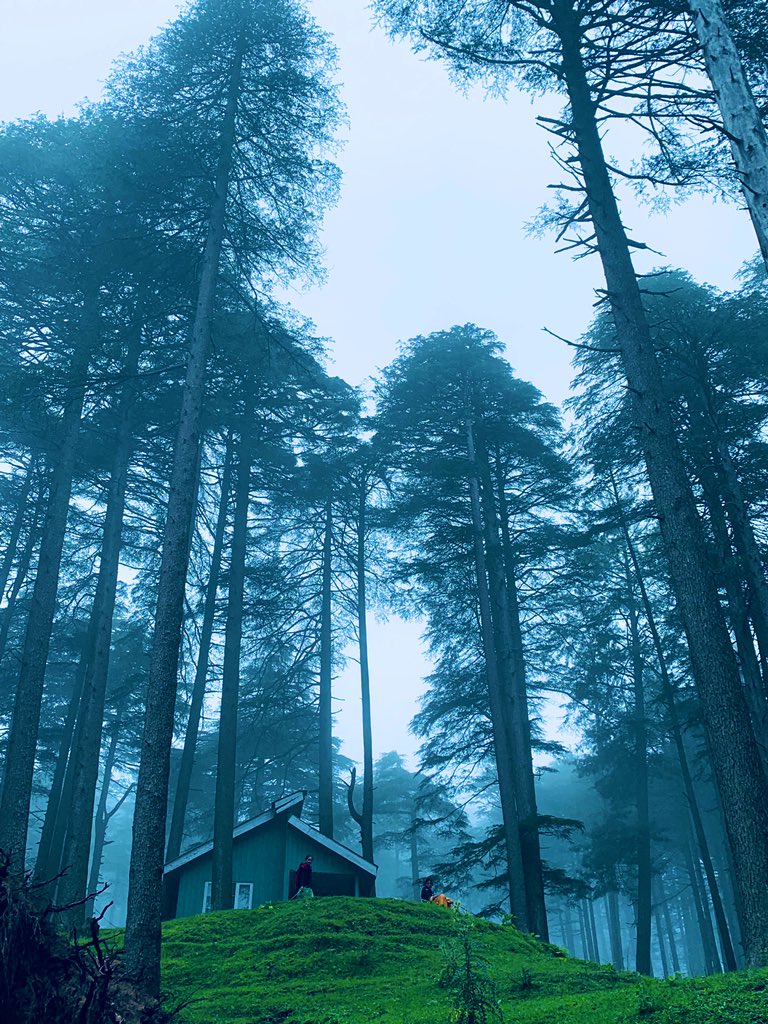 KhajuriaManu's tweet photo. Despite the hot seat, sharing some cool pics of beautiful #Jammu 
Last week visited Patnitop. 
The name Patnitop is a distortion of the original name of "Patan Da Talab", meaning "Pond of the Princess". #WorldPhotographyDay https://t.co/h65nHoLeJD