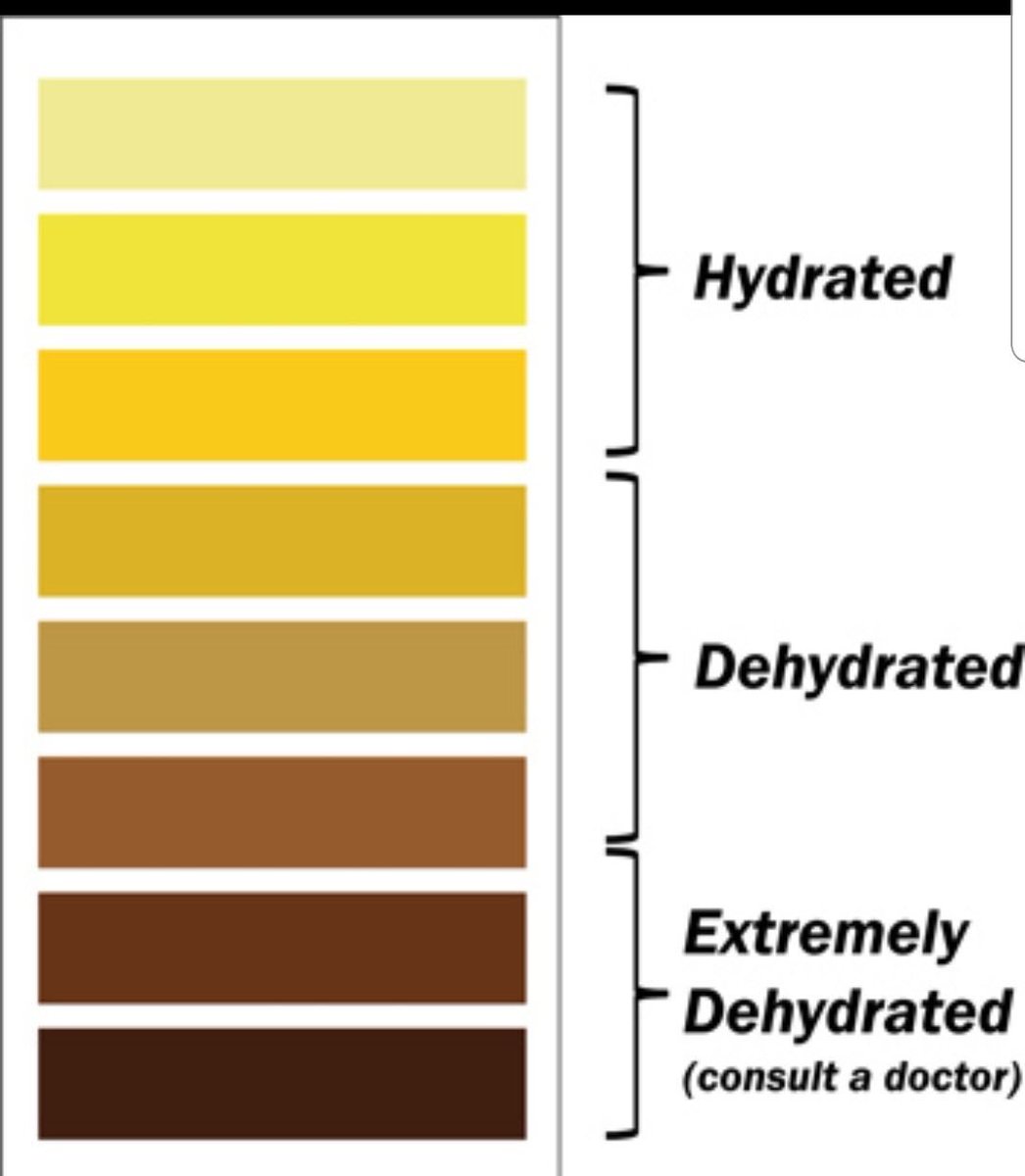 Urine Color Chart And Hydration