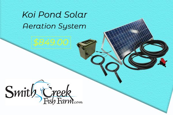 smithcreekfish's tweet photo. All ponds can benefit from aeration by adding much-needed oxygen and circulating the water.
Read more at https://t.co/1jGpzRzX27
#pond #pondstocking #koigarden #retentionpond #backyardpond #detentionpond #pondmaintenance #pondmanagemenet #pondaeration #pondfountains #pondcare https://t.co/SNvtqNbWlS