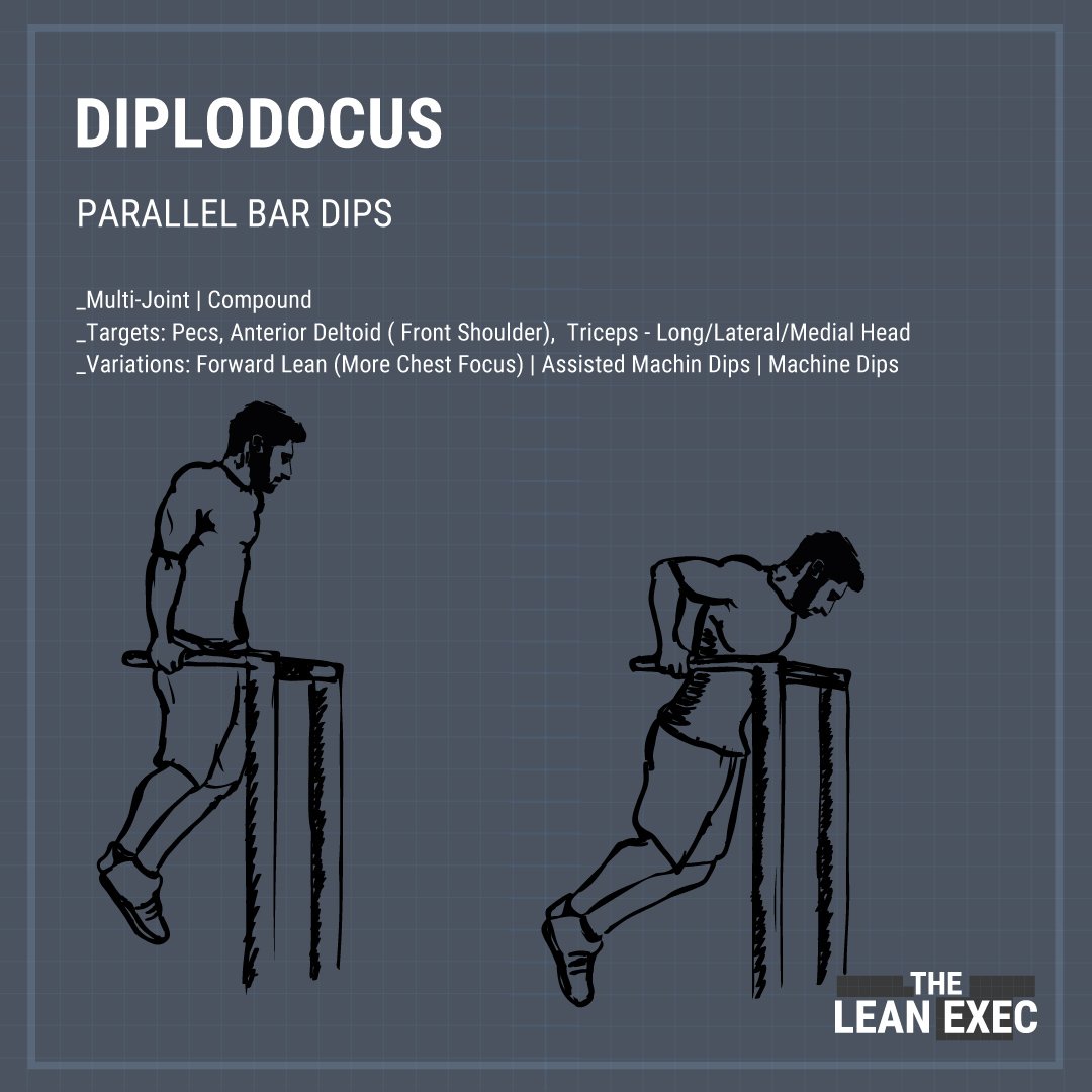 TheLeanExec's tweet photo. Diplodocus - Parallel Bar Dips - Multi-joint compound movement targeting pecs, front shoulders, Triceps - long / lateral / medial heads.  Variations: Forward lean (more chest focus) | Assisted Machine Dips | Machine Dips #fitness #training #health #theleanexec  #dips https://t.co/4JdA3B5mqA