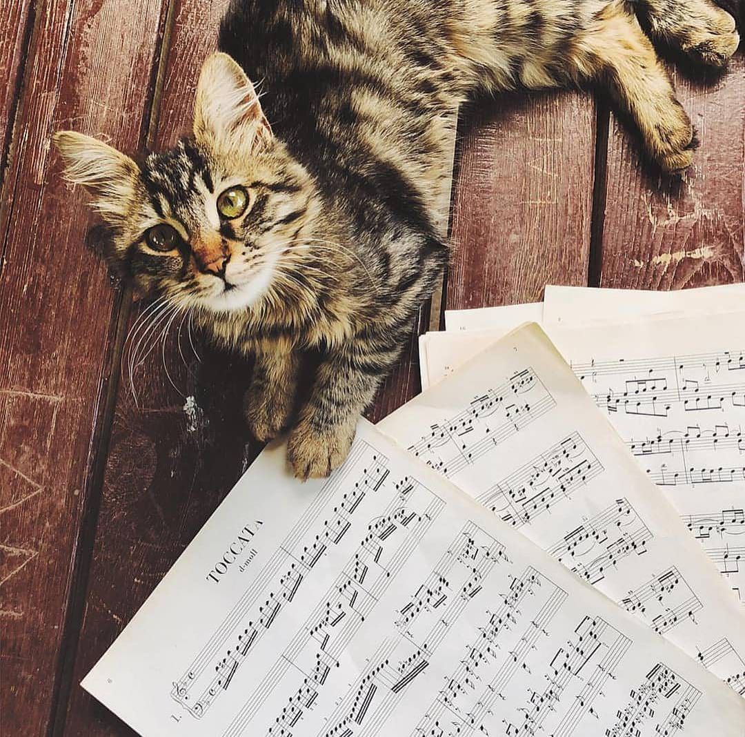 ClassicFM's tweet photo. What music would you like to hear on Classic FM?

Tweet @AMinhall to let her know now on Classic FM Requests.

(📷https://t.co/ICgd9qVHJb) https://t.co/pqCJIwykXQ